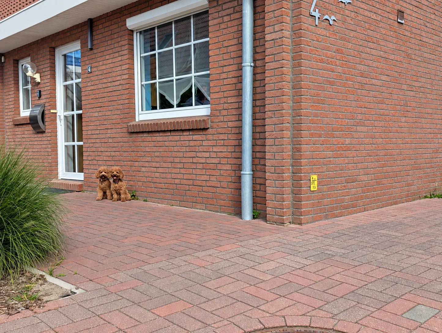 Ferienhaus Brosig Norddeich